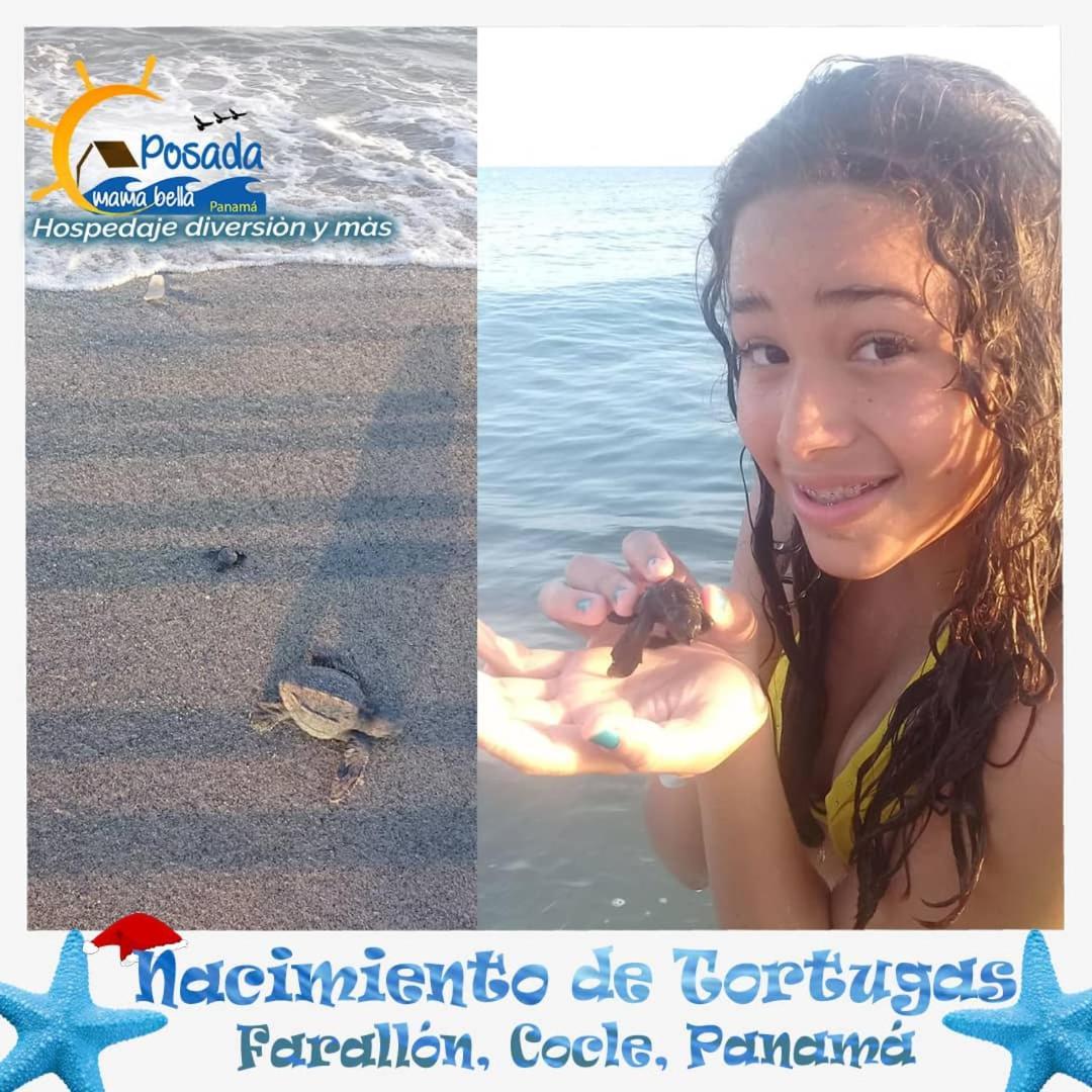 Posada Mama Bella Playa Blanca  Ngoại thất bức ảnh